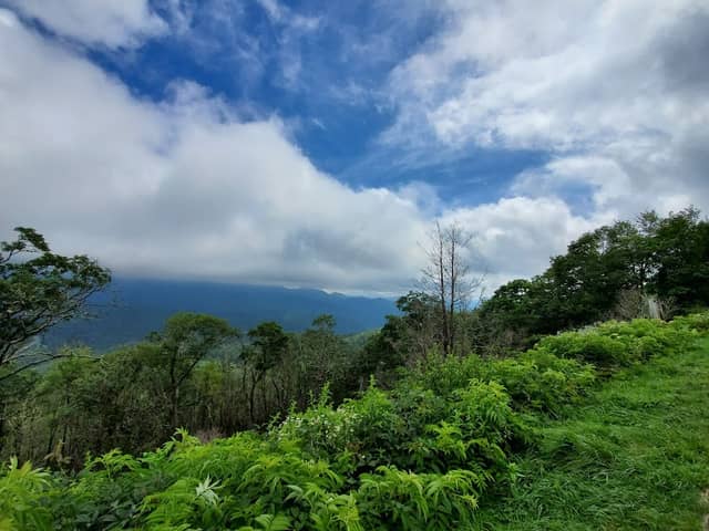 Plott Balsam Overlook - Image 3