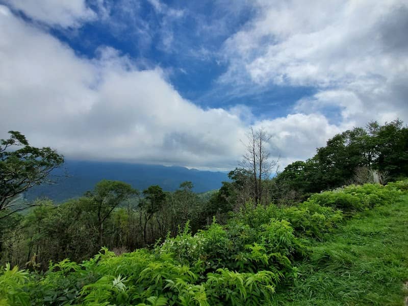 Plott Balsam Overlook - Image 3