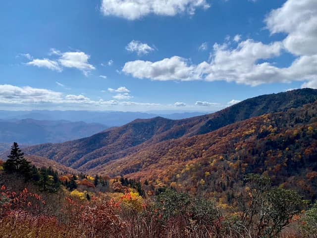 Plott Balsam Overlook - Image 1