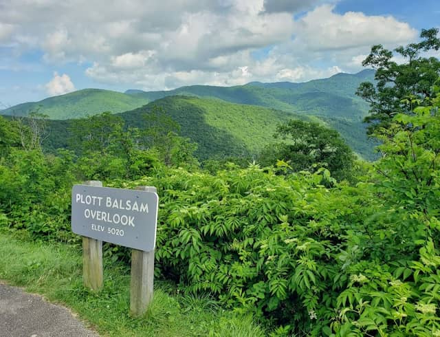 Plott Balsam Overlook - Image 2