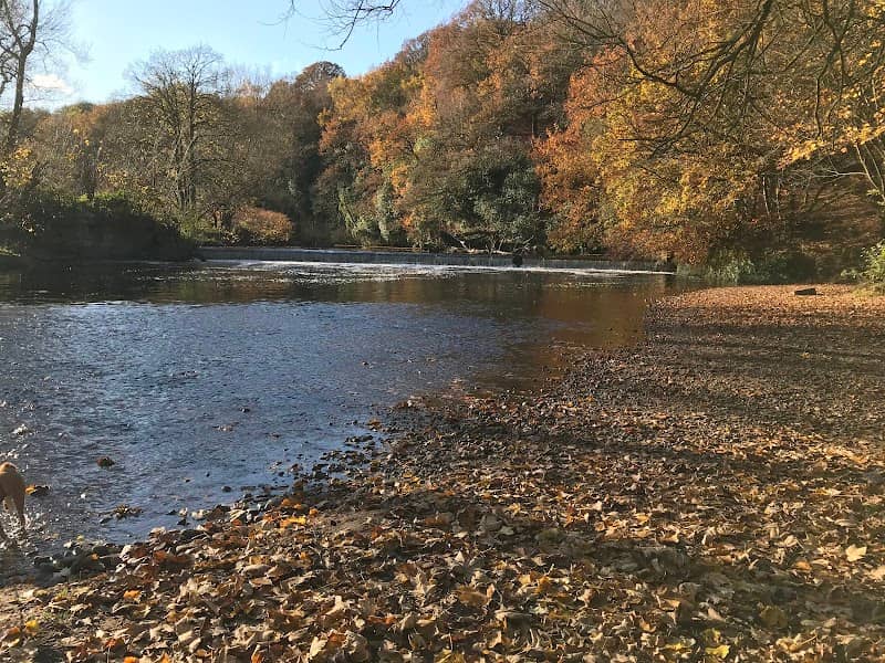 Woodbank Park - Image 1