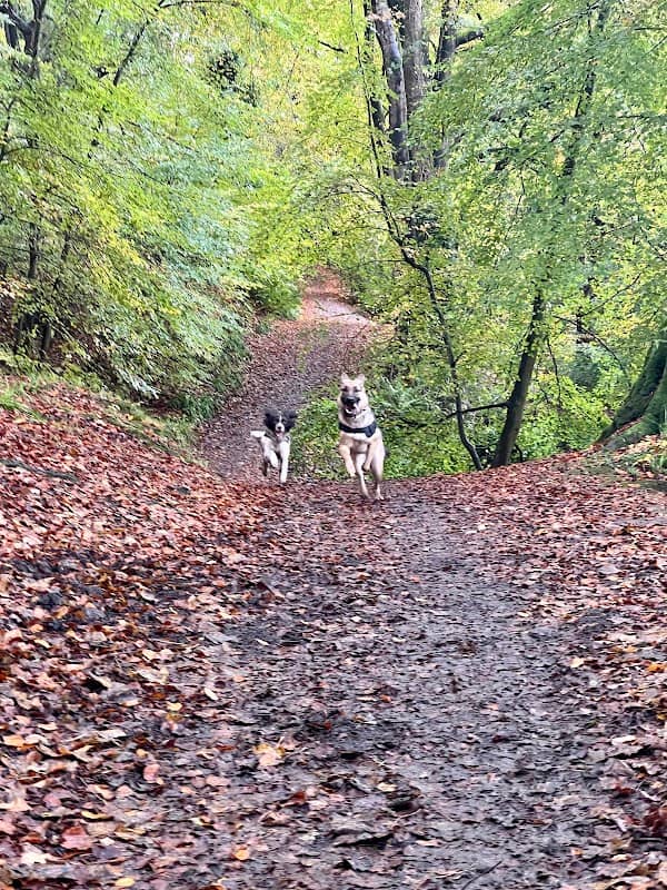 Redburn Country Park - Image 2