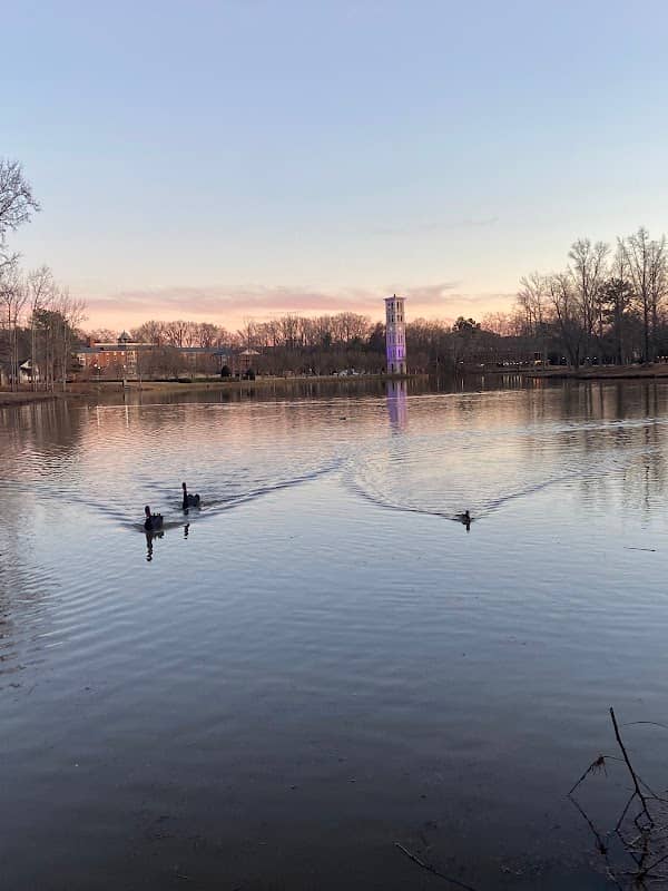 Furman Picnic Area - Image 2