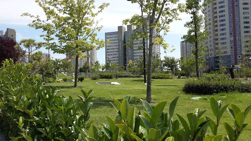 Park - Image 3