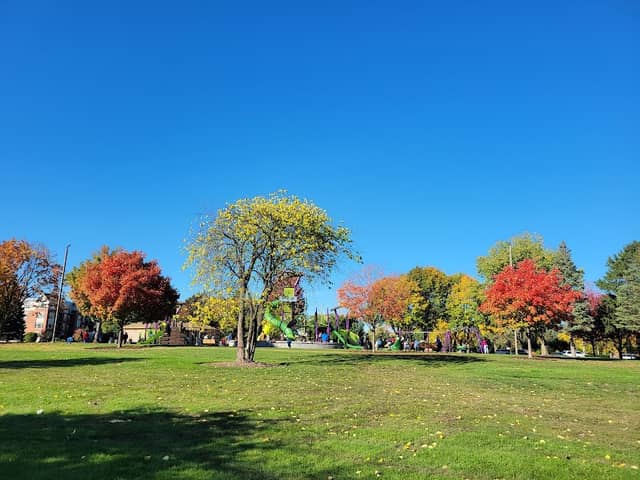 Childerley Park - Image 2