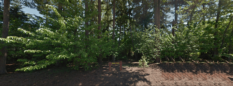 Betty Park - Image 3