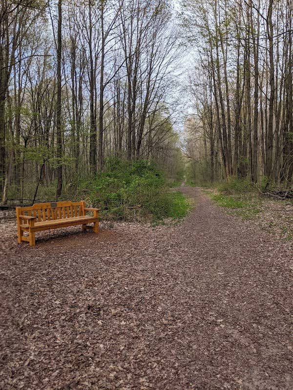 Padgett Dog Park - Image 2