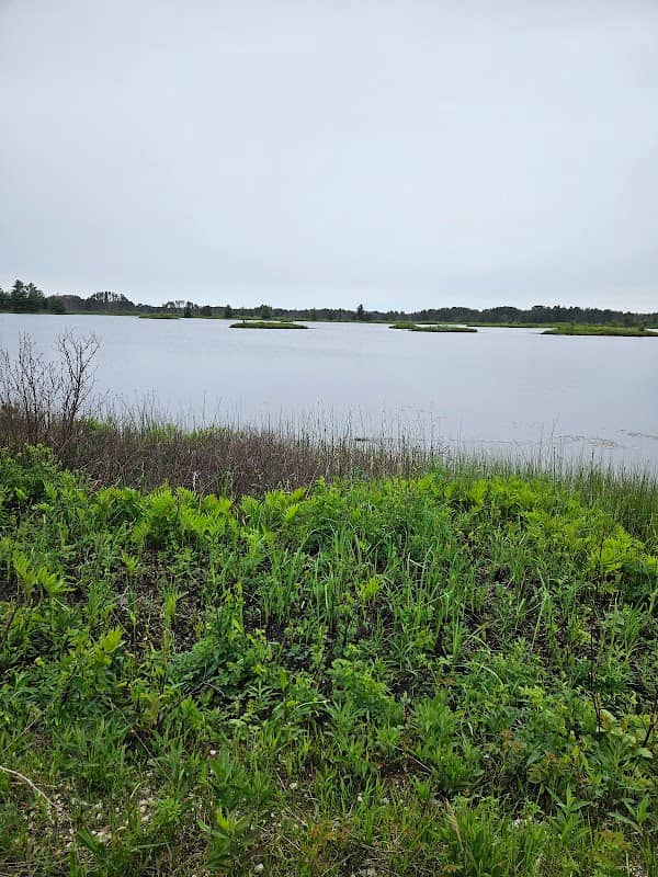 Seney National Wildlife Refuge - Image 3