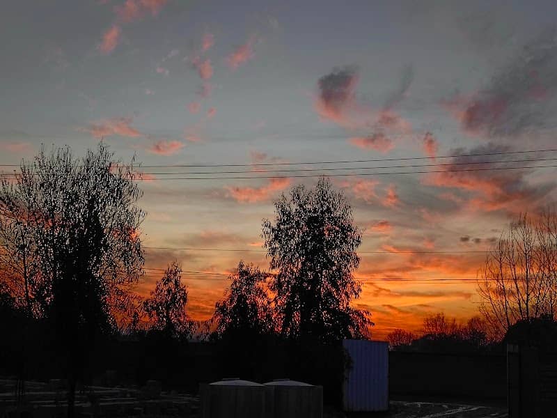 مزرعة الدولة - Image 1