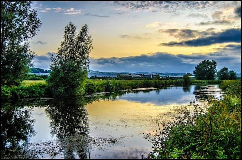 River Exe County Park - Image 2