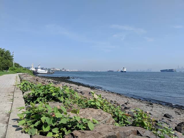 Alice Austen Park - Image 1
