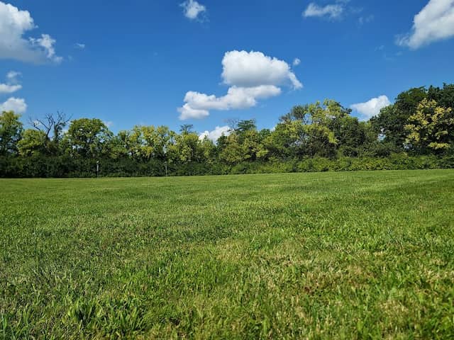 Ferris-Wright Park - Image 1