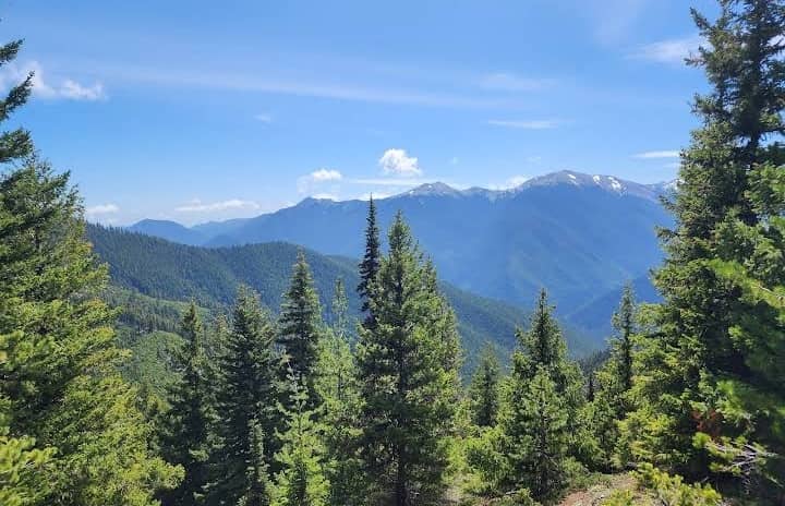 Olympic National Park - Image 1