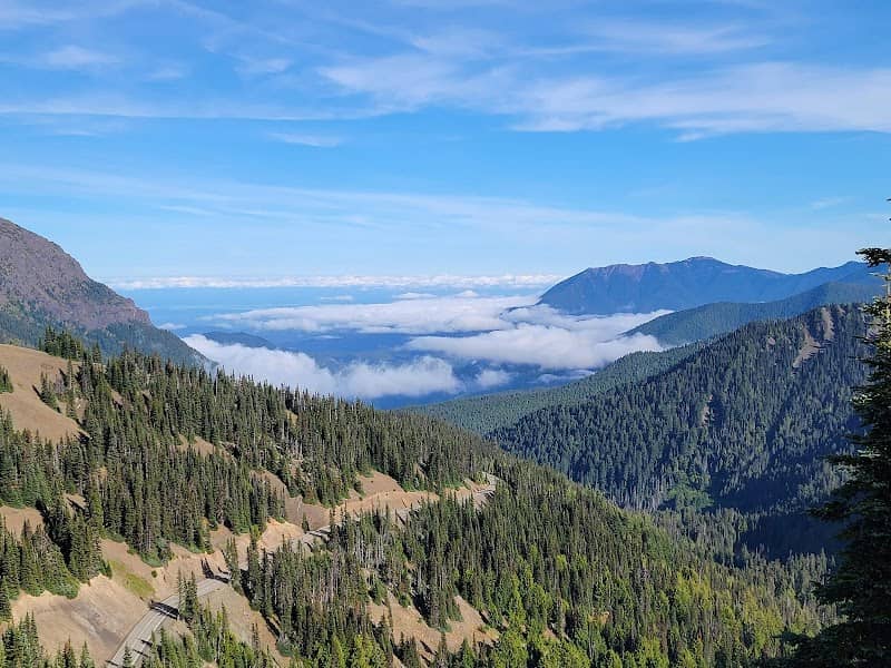 Olympic National Park - Image 3