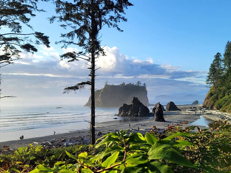 Olympic National Park - Image 2
