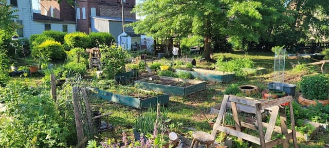 The Unity GARDEN - Image 1