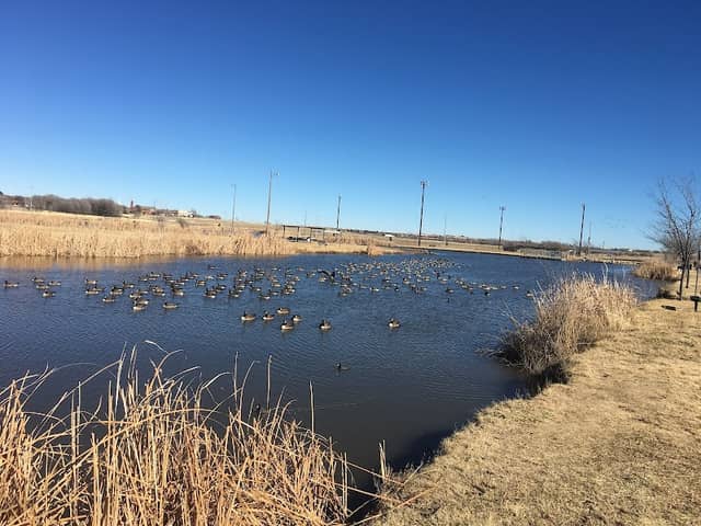 Paul Lindsey Park - Image 2