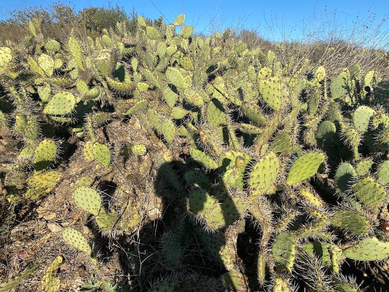 Thousand Oaks hiking - Image 3