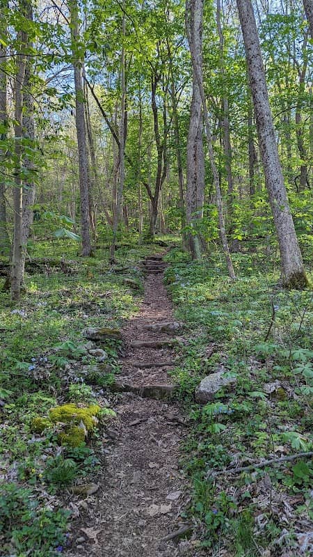 Angel's Rest Trailhead - Image 1