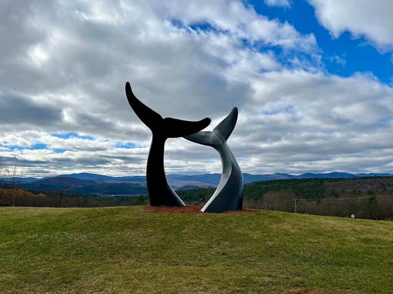 Whale Dance - Image 1