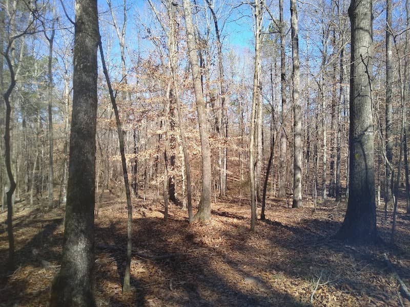Lake Wilmore Trail - Image 2