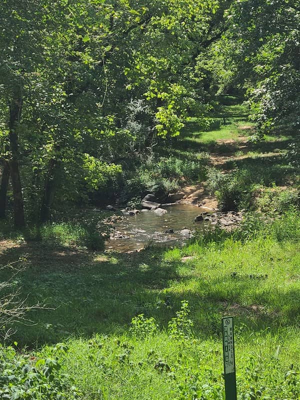 Lake Wilmore Trail - Image 1