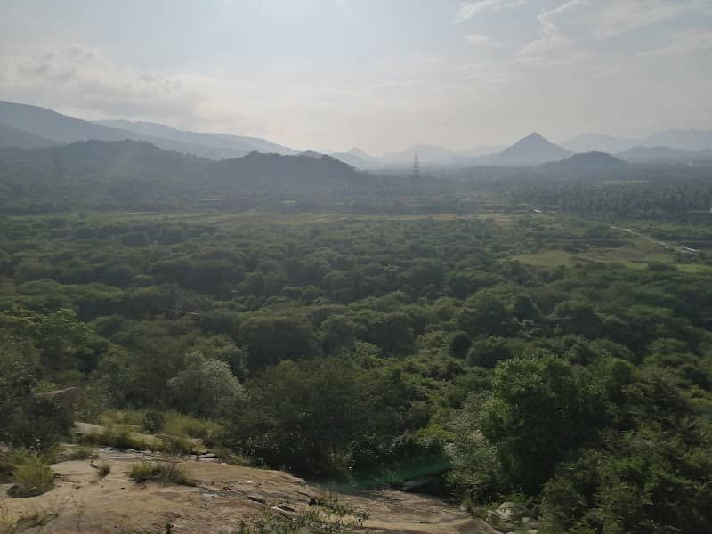 Selvapuram Viewpoint - Image 1