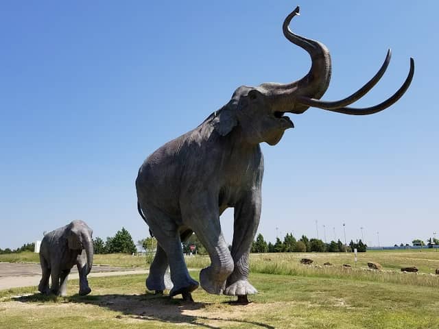 Lubbock Lake National Historic Landmark - Image 1