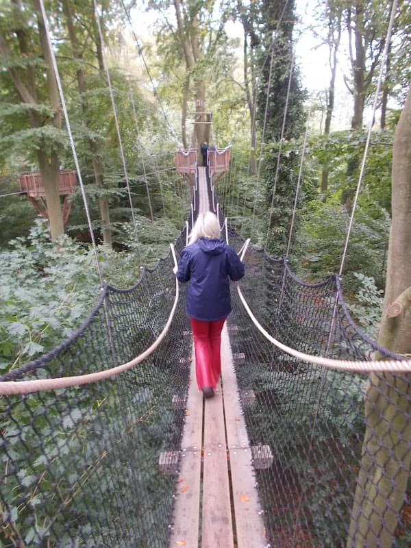 Bøgetoppen i Odense Zoo - Image 2