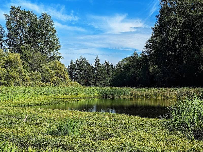 Wards Lake Park - Image 2
