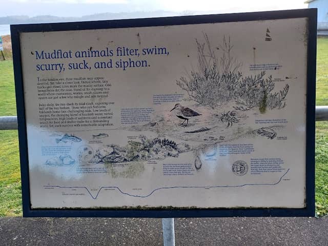 Nahcotta Tidelands Interpretive Site - Image 2