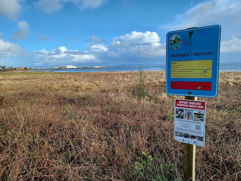 Nahcotta Tidelands Interpretive Site - Image 1