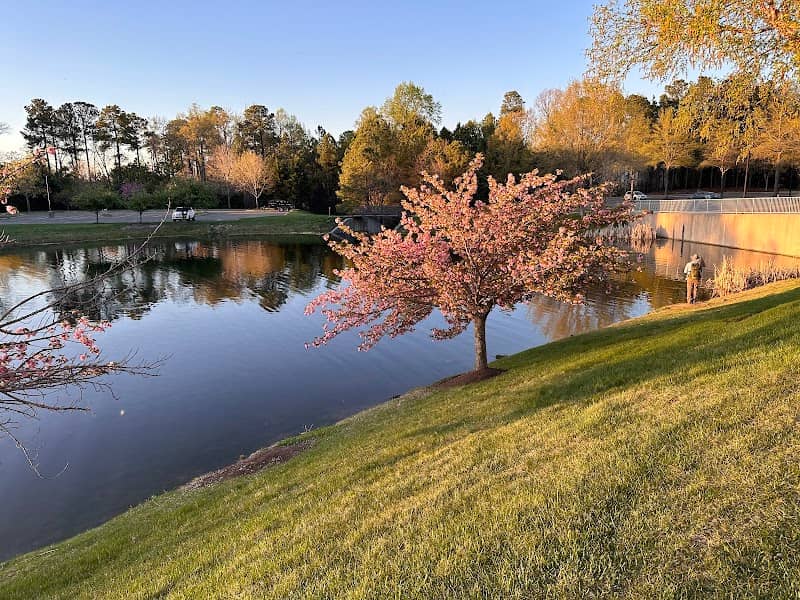 East Shore Lake - Image 1