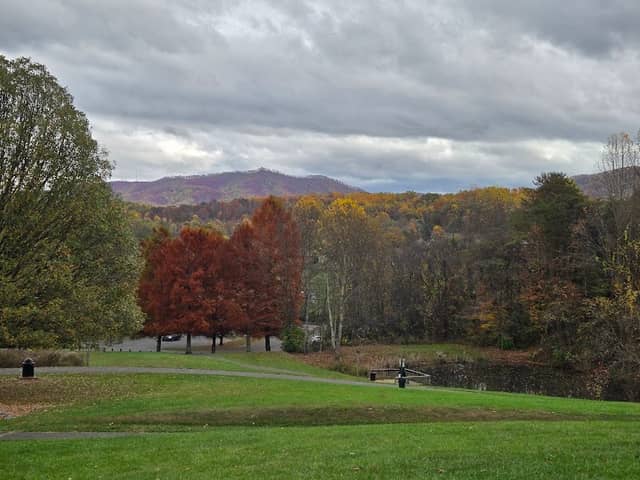 Willow Springs Park - Image 2