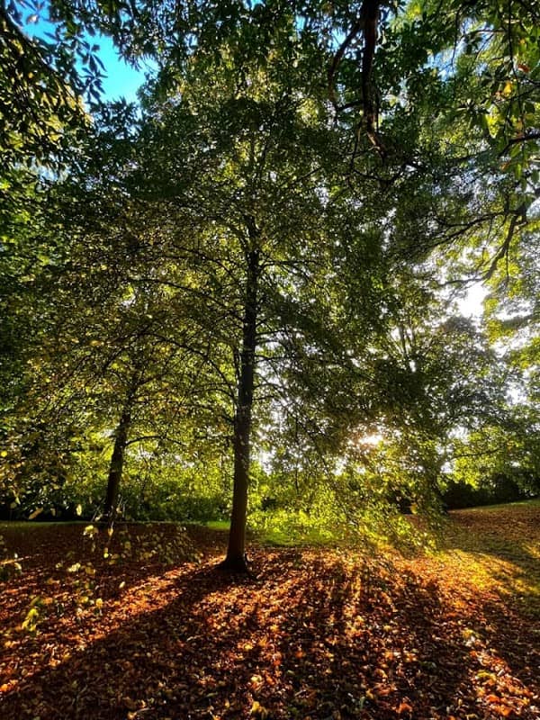 Churchill Gardens - Image 1