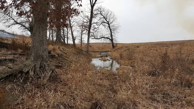 Schwartz Prairie - Image 2