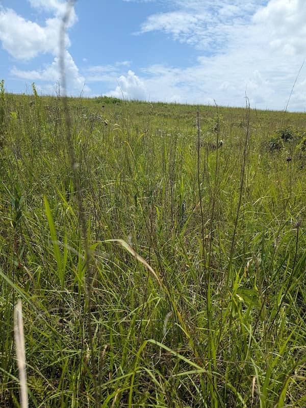 Schwartz Prairie - Image 1