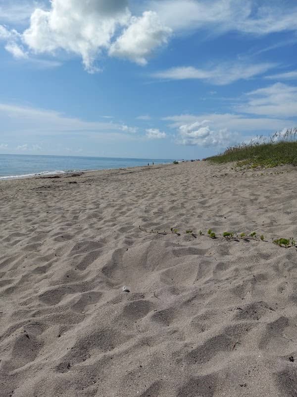 Sandy Cheeks Trail - Image 1