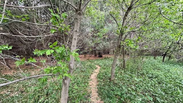 Kleckner Wildlife Area - Image 2