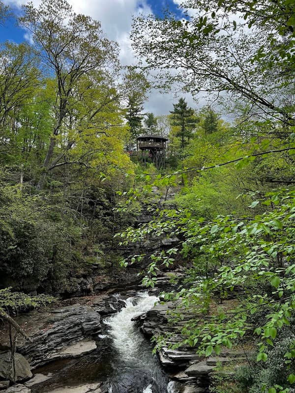 Paul Kanjorski Covered Bridge - Image 2