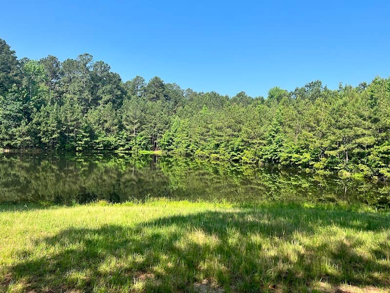 Atlanta MTB Trail (City Park) - Image 1