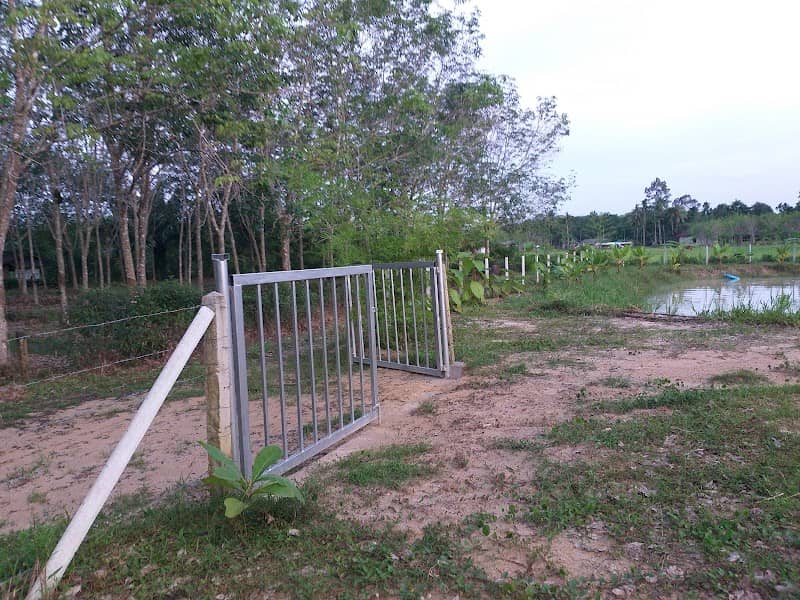 โคกหนองนาวรากร - Image 1