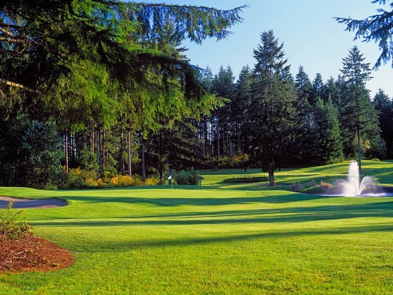Gold Mountain Golf Club - Image 2