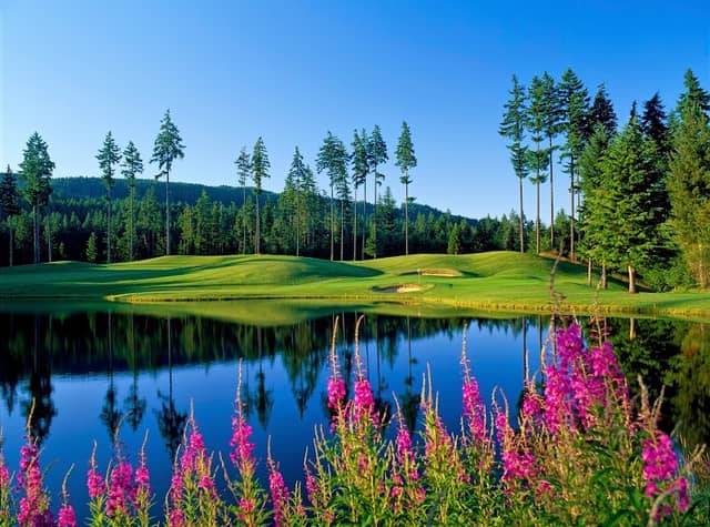 Gold Mountain Golf Club - Image 1