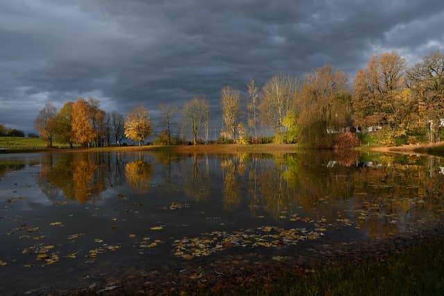Reichling Weiher - Image 1