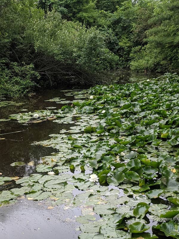 North Park - Image 1