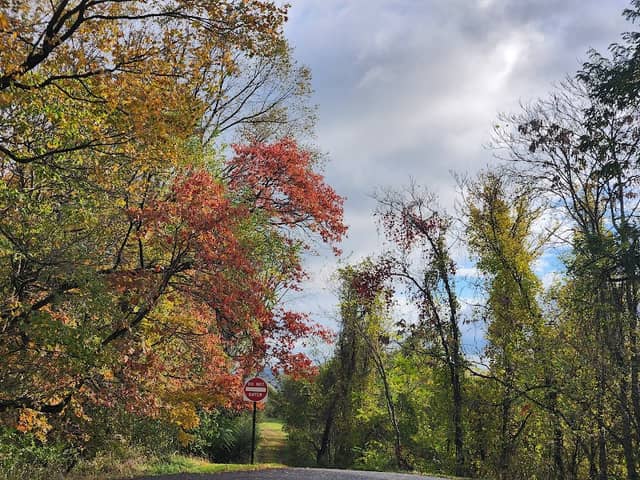 Lowndes Park - Image 2
