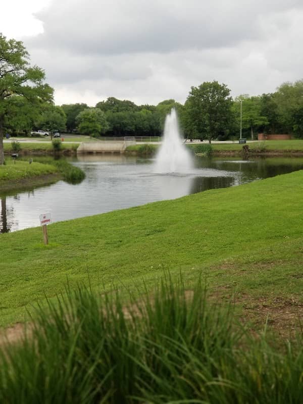 Chimney Swift Park - Image 1