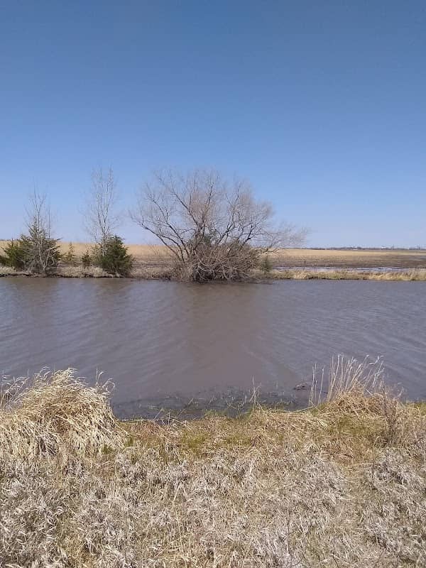Brauning Waterfowl Production Area - Image 2