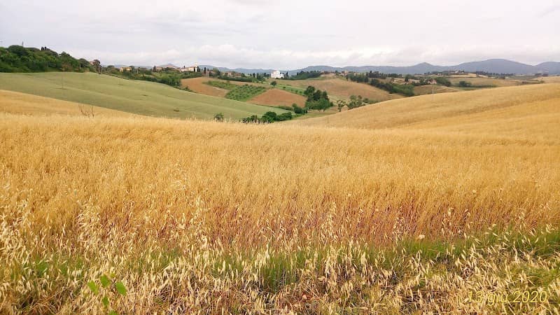 Parco Amendola - Image 1